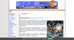 Desktop Screenshot of brace.de